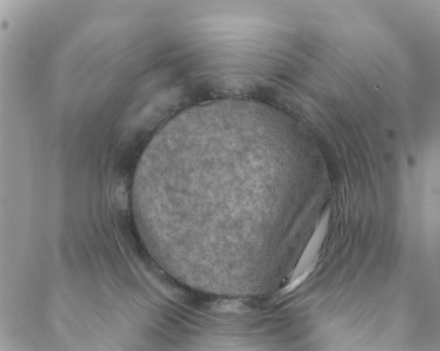 X0000088390086200706121221