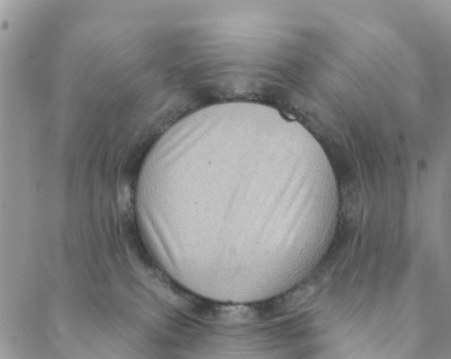 X0000088390087200706121221