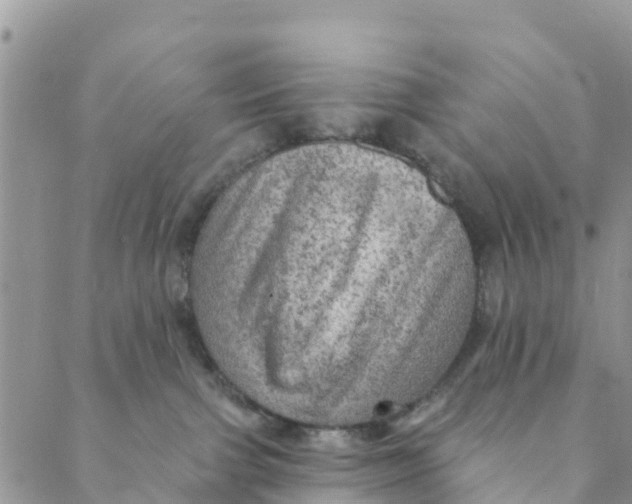 X0000088390091200706121221