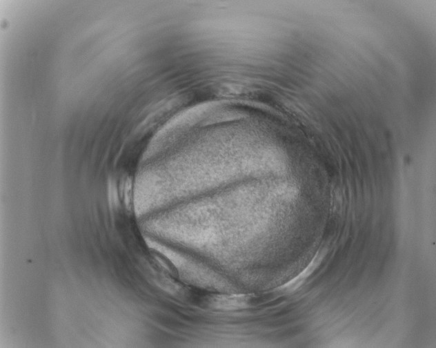 X0000088390094200706121221