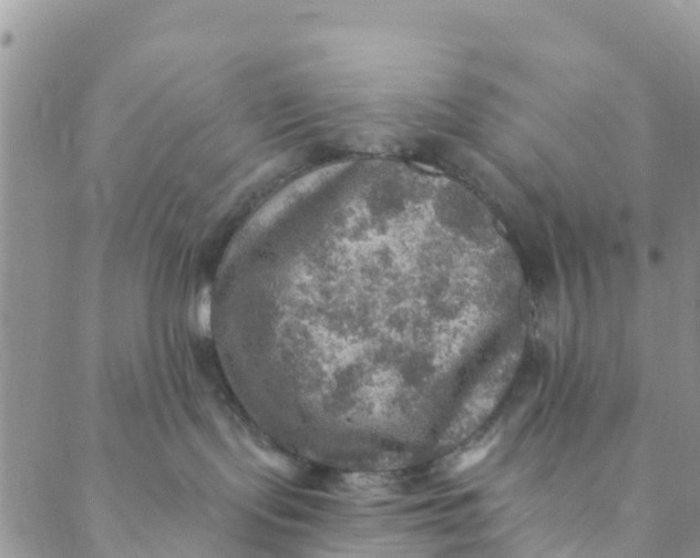 X0000088390095200706121221