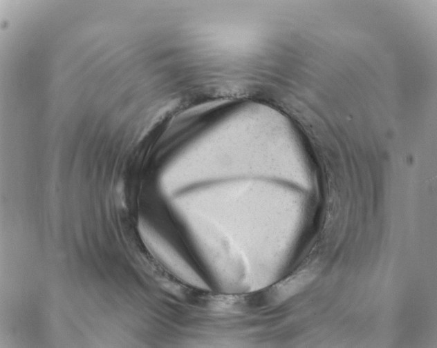 X0000088390096200706121221