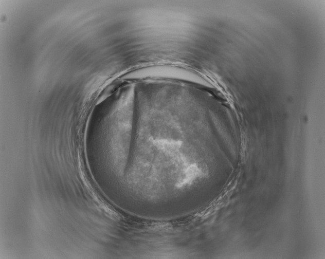 X0000088390097200706121220