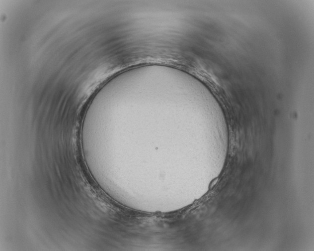 X0000088390098200706121220