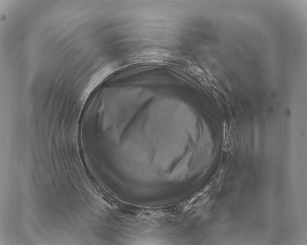 X0000088390099200706121220