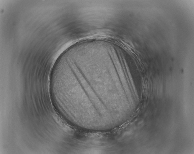 X0000088390100200706121220