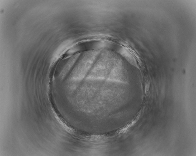 X0000088390101200706121220