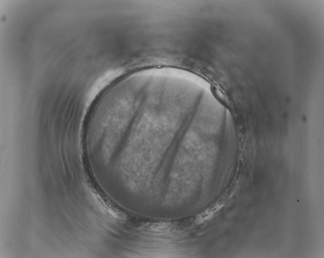 X0000088390104200706121220