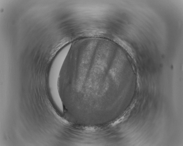 X0000088390105200706121220