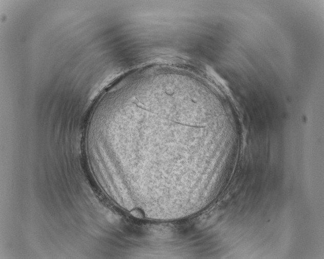 X0000088390106200706121220