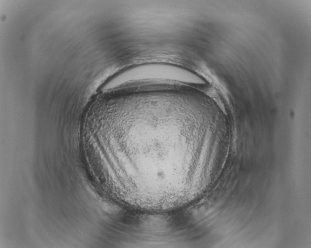 X0000088390107200706121220