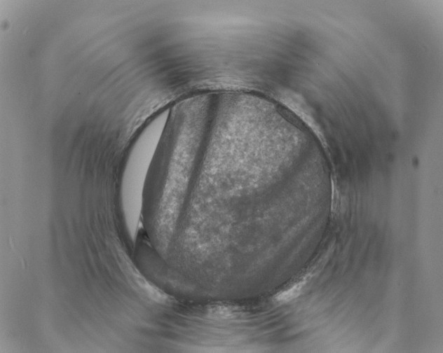 X0000088390109200706121220