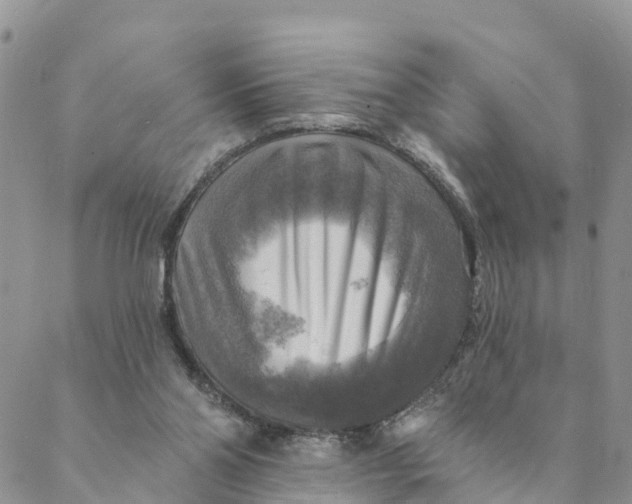 X0000088390110200706121220