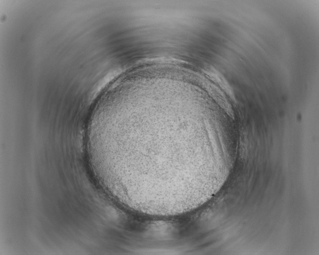 X0000088390111200706121220