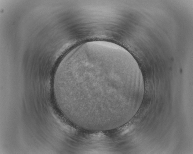 X0000088390112200706121220