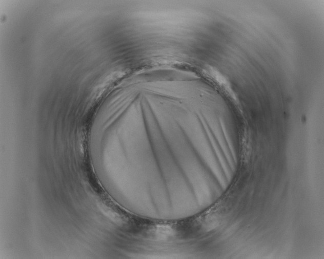 X0000088390114200706121220