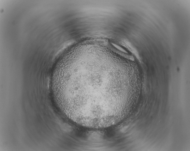 X0000088390115200706121220