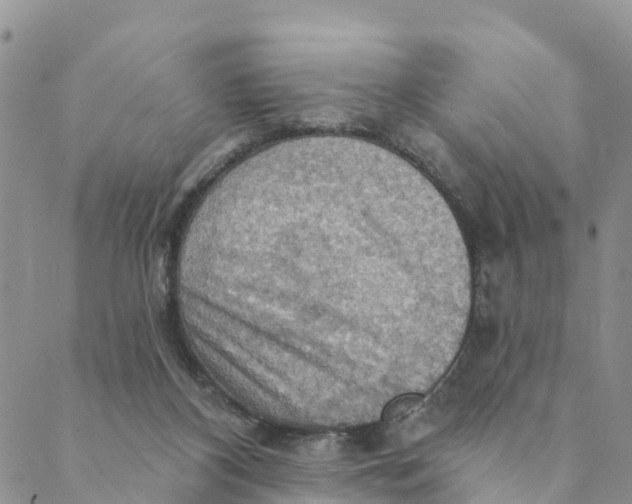 X0000088390116200706121220