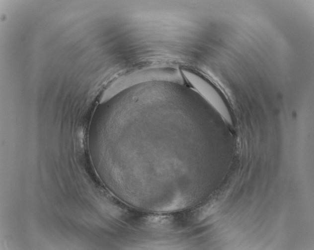 X0000088390117200706121220