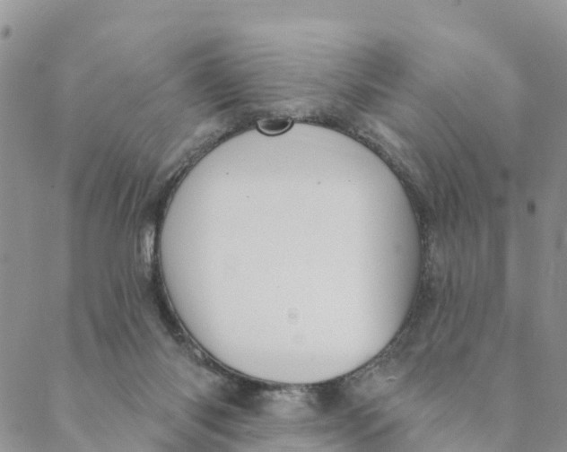 X0000088390118200706121220