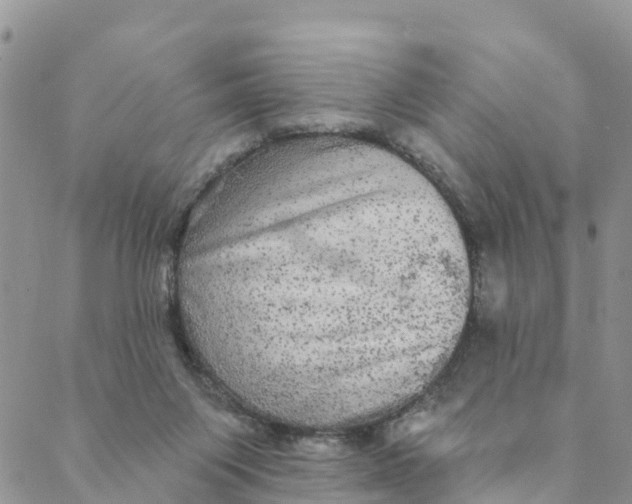 X0000088390119200706121220