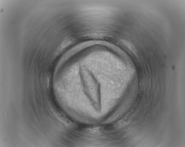 X0000088390120200706121220