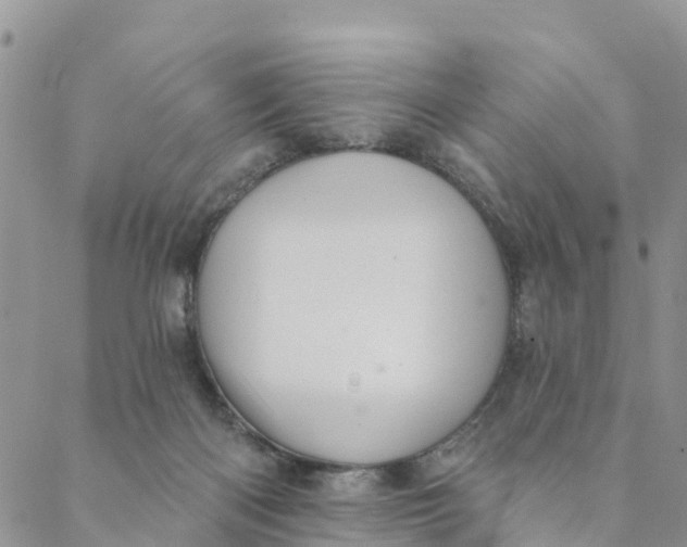 X0000088390122200706121220