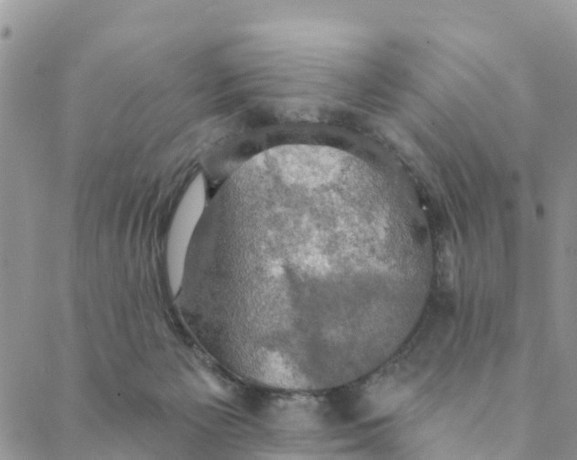 X0000088390125200706121219