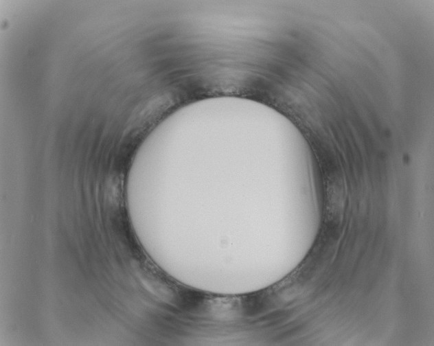 X0000088390126200706121219