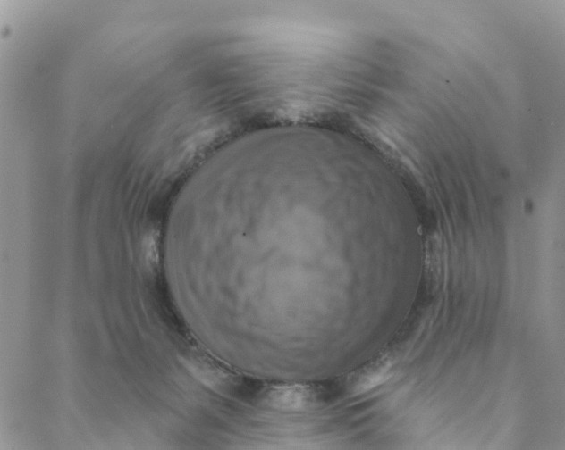 X0000088390127200706121219