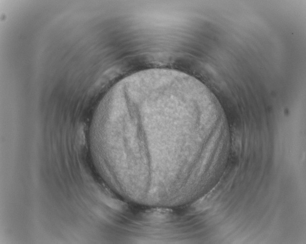 X0000088390128200706121219