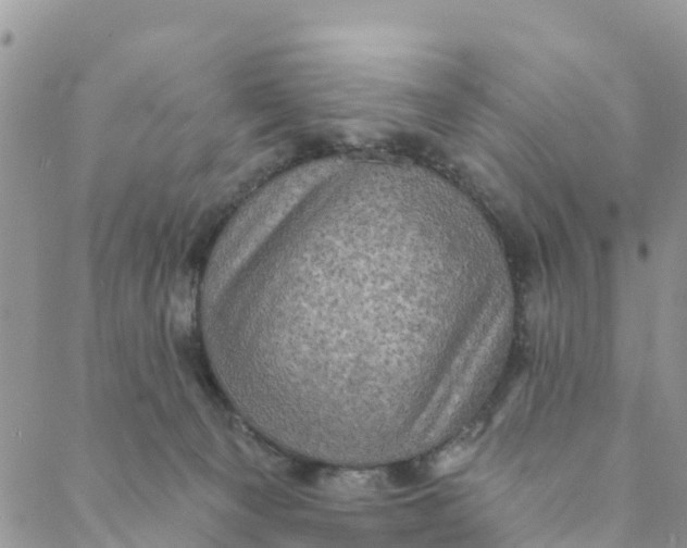 X0000088390129200706121219