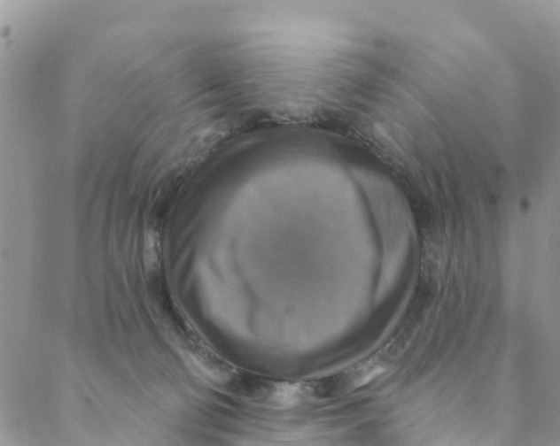 X0000088390130200706121219