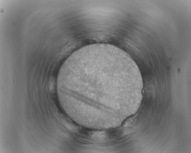 X0000088390132200706121219