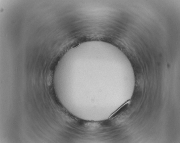 X0000088390133200706121219