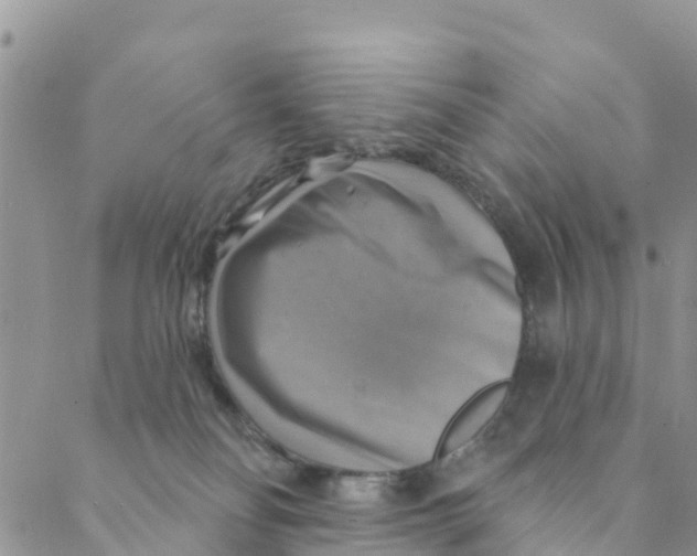 X0000088390134200706121219