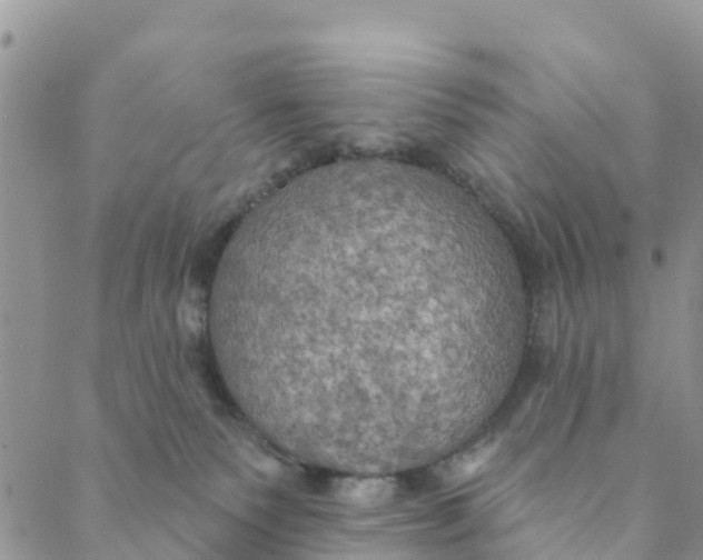 X0000088390135200706121219