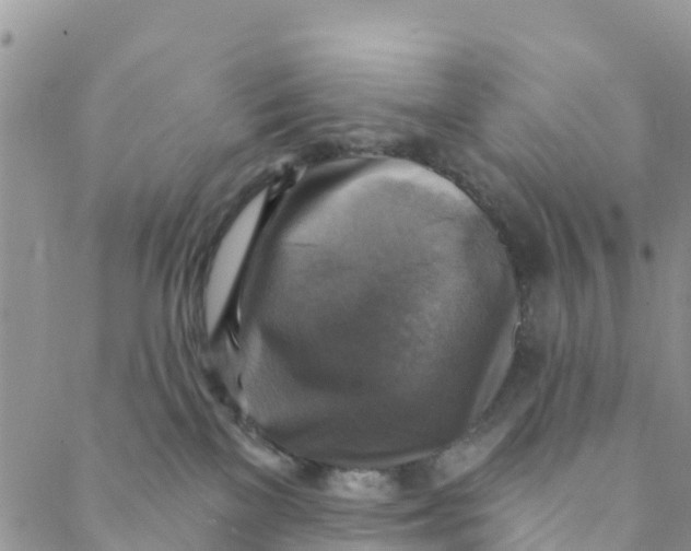 X0000088390137200706121219