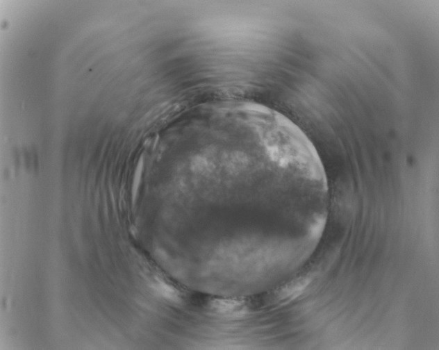 X0000088390139200706121219