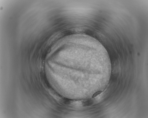 X0000088390140200706121219