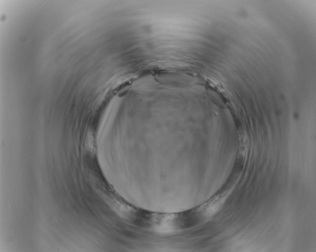 X0000088390143200706121219