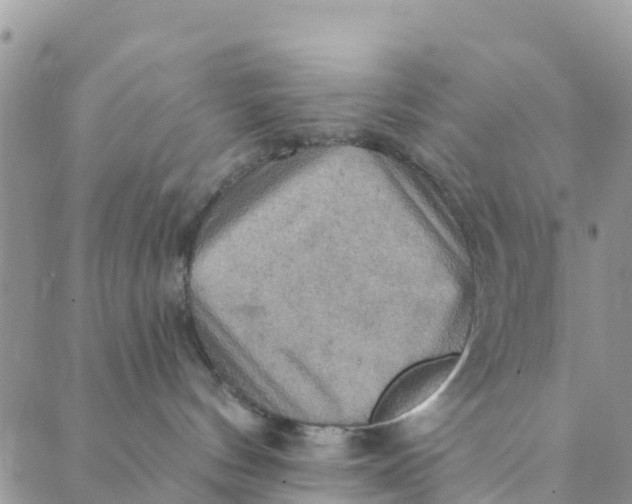 X0000088390144200706121219