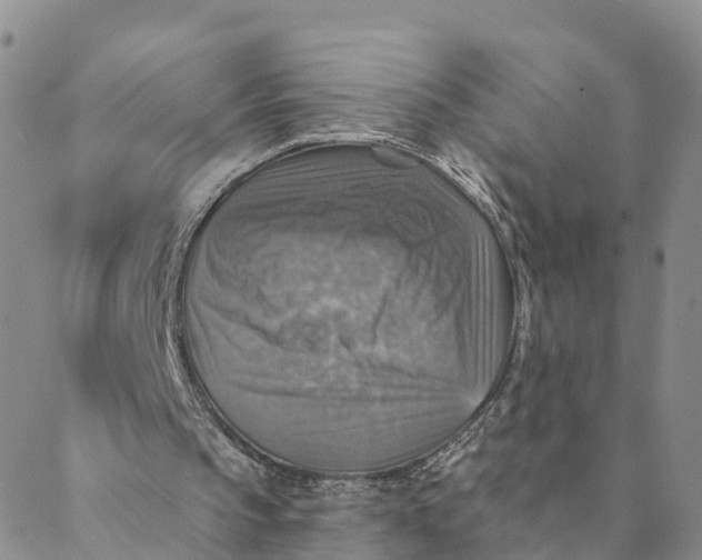 X0000088390145200706121218