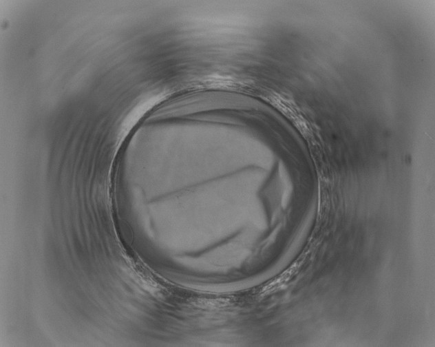 X0000088390147200706121218