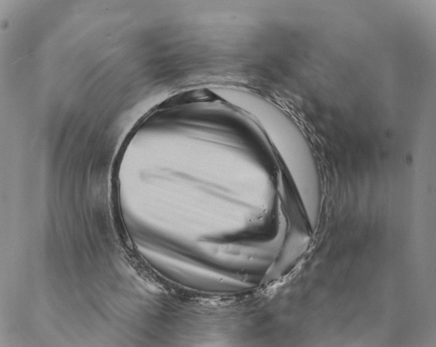 X0000088390148200706121218