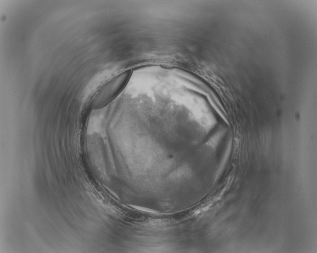 X0000088390149200706121218