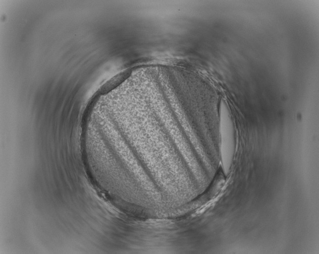 X0000088390150200706121218