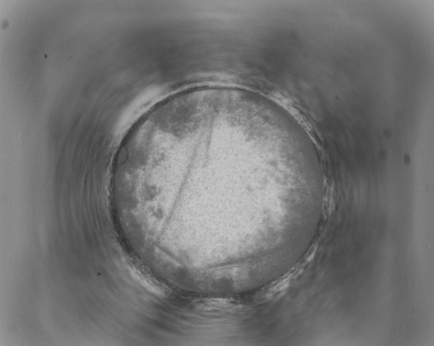 X0000088390151200706121218