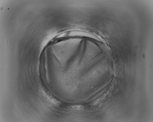 X0000088390152200706121218