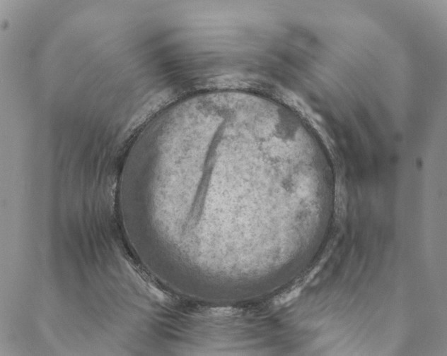 X0000088390153200706121218